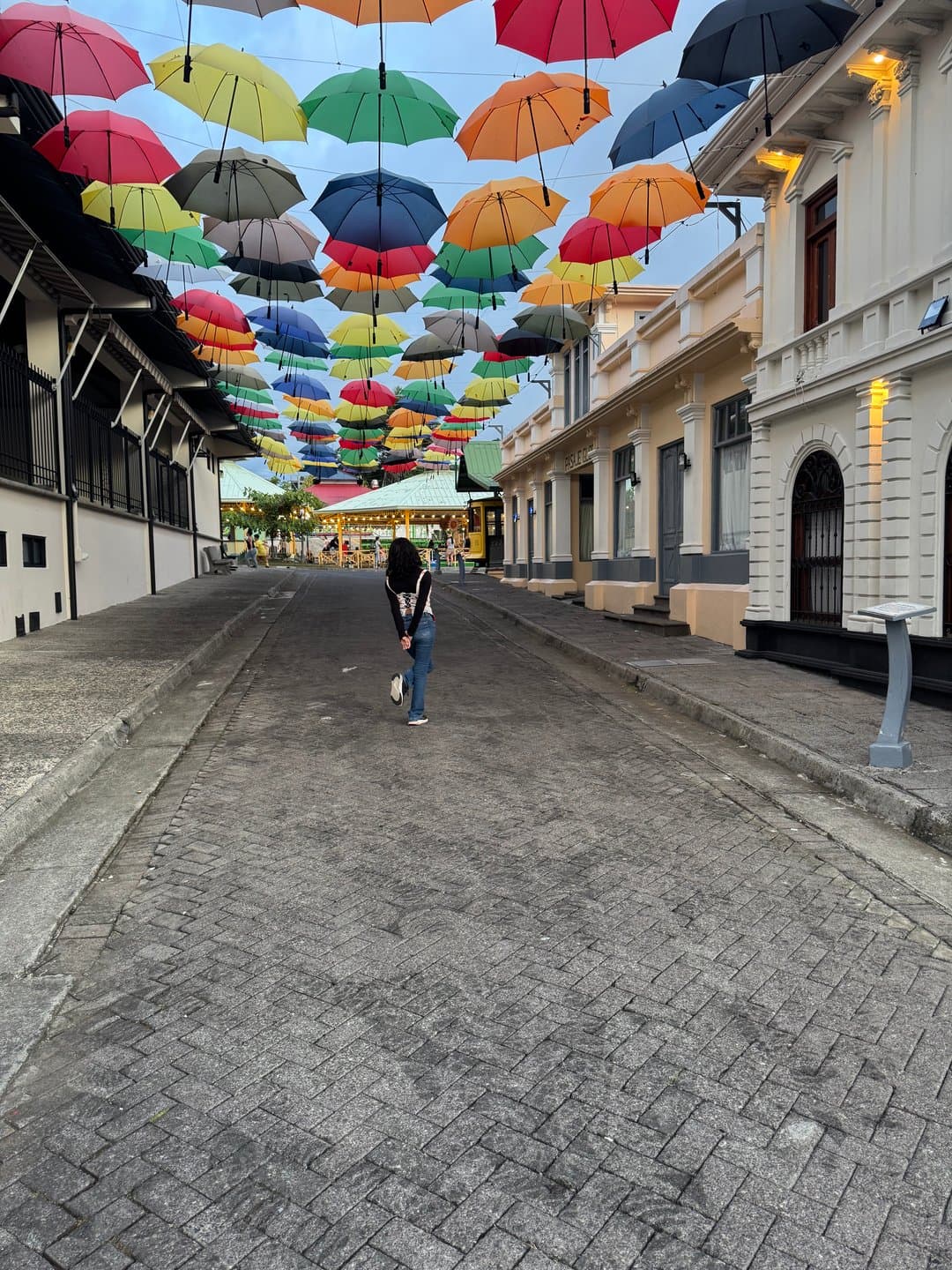 Ana Sofía — Estratega de marketing y escritora